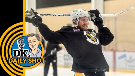 DK's Daily Shot of Penguins: Why do they do it? taken in Bradenton, Fla. (Podcasts)